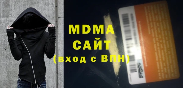 индика Елабуга