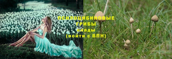 трава Осташков