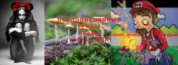 ешки Пестово